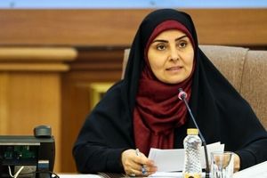 Iran, Russia target to transit 10 mln tons of goods via INSTC

