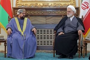 Iran judiciary chief: No hope in int’l bodies to stop Zionists' aggressions

