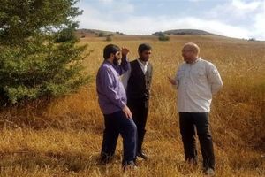 Qalibaf Refutes US Claims on Iran’s Assets
